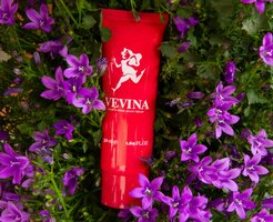 Wear a dress again cream